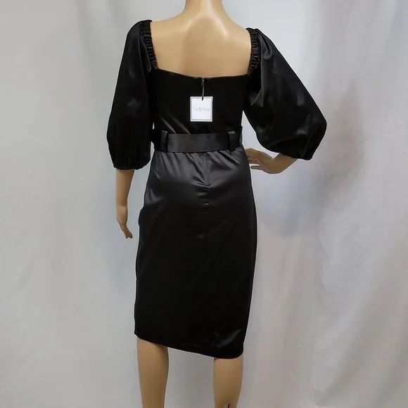 PREMIER Amour Short Sleeve Sheath Dress - Picture 12 of 17
